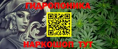 spice Кунгур