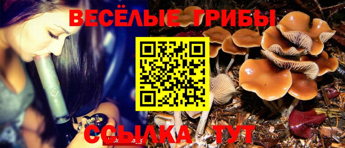 Галлюциногенные грибы мухоморы  Вход с VPN  Донской 